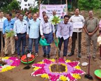 మందమర్రిలో మాసివ్ ప్లాంటేషన్ డ్రైవ్