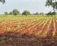 అన్నదాతకు కన్నీటి గాధ.