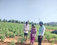 ఎల్ నీనో ప్రభావంతో ప్రస్తుత పంటల పరిస్థితి ఫై రైతులకు అవగాహన