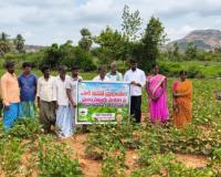 ఎల్ నీనో ప్రభావం ప్రత్యామ్నాయ పంటల ఫై అవగాహన