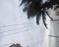 విద్యుత్ తీగలకు చెట్ల కొమ్మలు తగలడంతో విద్యుత్ సరఫరాకు అంతరాయం