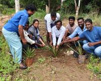 ఈత వనం పెంపకానికి శ్రీకారం