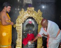 వైభవంగా శ్రీ రేణుక ఎల్లమ్మ తల్లి శాకాంబరి మహోత్సవం