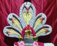 నాగుల పంచమి సందర్భంగా శివయ్య దర్శనం
