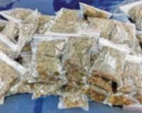 పులుకుర్తి లో 300 కిలోల గంజాయి స్వాధీనం 