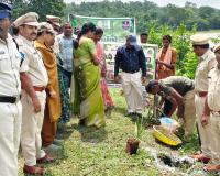 బోడు, లచ్చగూడెంలో ఘనంగా వనమహోత్సవం