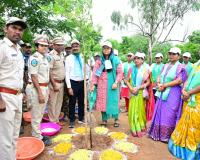 మొక్కల పెంపకంతో పచ్చని భవిష్యత్తుకు బాటలు