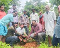 దర్యాపూర్‌లో ఘనంగా వనమహోత్సవం 