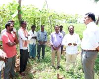 ప్రభుత్వ సబ్సిడీ పథకాలను సద్వినియోగం చేసుకోవాలి