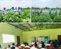 సాగులో చీడ పీడల