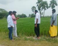 డిజిటల్ క్రాప్ సర్వే (పంట నమోదు)ను రైతులు  సద్వినియోగం చేసుకోవాలి  : ఏవో పాండురంగాచారి 