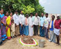 అనాజిపురంలో  దామోదర్ రెడ్డి జయంతి వేడుకలు