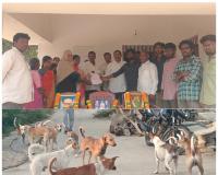 దోమలు, వీధి కుక్కల నుంచి రక్షణ కల్పించండి 