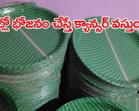 పేపర్ ప్లేట్లతో క్యాన్సర్ ముప్పు
