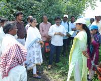 గురుకుల, కేజీబీవీ పాఠశాలలు, పి హెచ్ సి ని  తనిఖీ చేసిన  జిల్లా కలెక్టర్ 