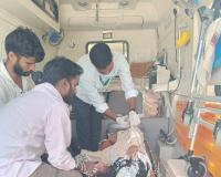 కూలీల ఆటో బోల్తా.. ఇద్దరికి గాయాలు