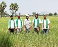 పంట నష్టపోయిన రైతులకు నష్టపరిహారం చెల్లించాలి