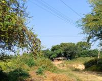 కోర్పోల్ గ్రామంలో చెరువు భూమి ఆక్రమణపై అధికారులకు ఫిర్యాదు
