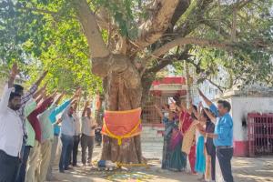  వారసత్వ వృక్షం లేదా తల్లి మొక్క ప్రకటన 