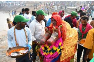 వనంలో వైభవం.. 