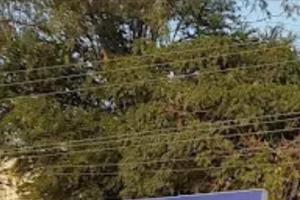 కామారెడ్డి మున్సిపాలిటీలో మహిళల ఓటర్లు  కీలకం