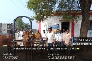 మైలారంలో ఉచిత పశు వైద్య శిబిరం.