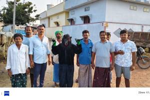 గ్రామపంచాయతీ వర్కర్ తో ఎలుగుబంటి వేషం వేయించిన నూతన సర్పంచ్‌ బాబు రమావత్..... 