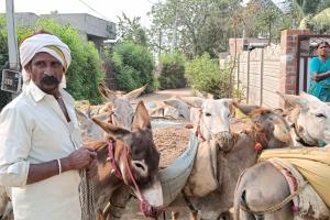 అక్రమ ఇసుక కుప్పలు సీజ్  పోలీస్, రెవెన్యూ శాఖ, 