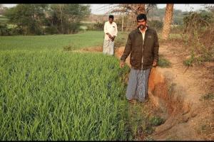 ఎల్లమ్మ వాగు ఎండిపోవడంతో రైతుల ఆందోళన  సాగునీటి విడుదలకు కృషి చేస్తున్న సర్పంచ్ యాదమ్మ శ్రీనివాస్