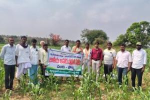 సిర్గాపూర్ రైతు వేదికలో రైతులకు అవగాహన శిక్షణ కార్యక్రమం