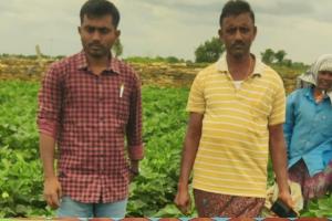 చినుకు పడిందని సంబరపడితే నష్టమే