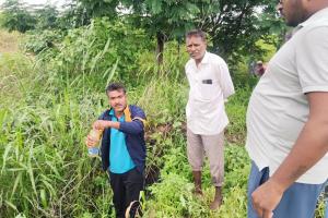 మంజీరా నదిని కలుషితం చేస్తున్న చార్మినార్ బీర్ పరిశ్రమ?
