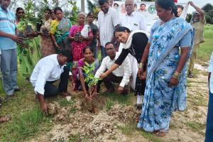 చక్రియాల్‌లో హరితహారం వన మహోత్సవం ఘనంగా నిర్వహణ