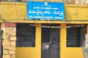 తీరు మారని పశువైద్యశాల