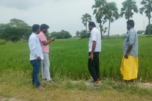 డిజిటల్ క్రాప్ సర్వే (పంట నమోదు)ను రైతులు  సద్వినియోగం చేసుకోవాలి  : ఏవో పాండురంగాచారి 