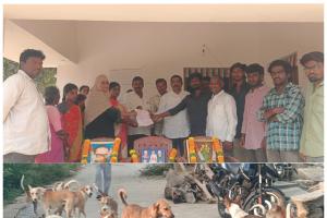 దోమలు, వీధి కుక్కల నుంచి రక్షణ కల్పించండి 