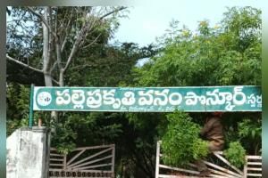 నిర్లక్ష్యానికి నిలయంగా 'పల్లె ప్రకృతి వనం