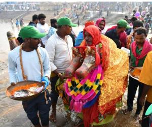 వనంలో వైభవం.. 