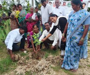 చక్రియాల్‌లో హరితహారం వన మహోత్సవం ఘనంగా నిర్వహణ